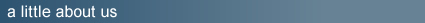 Leads management website